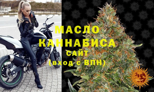 эйфоретик Ельня