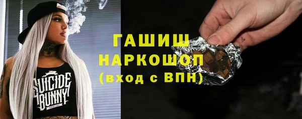 эйфоретик Ельня