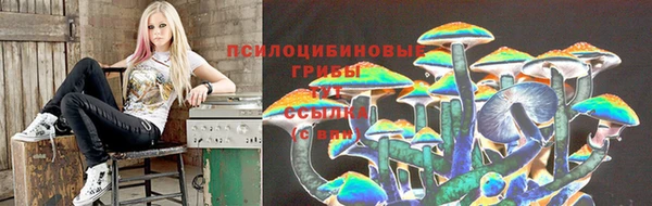 spice Заволжск