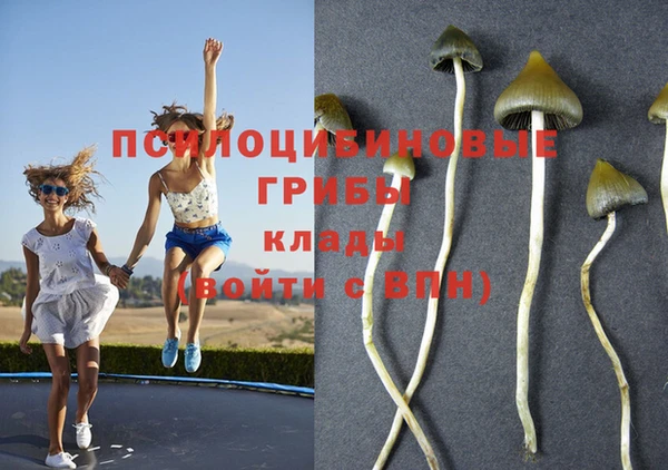 spice Заволжск