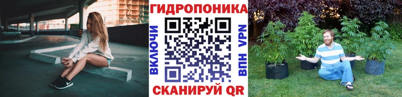 купить наркоту  Подпорожье  Конопля марихуана 